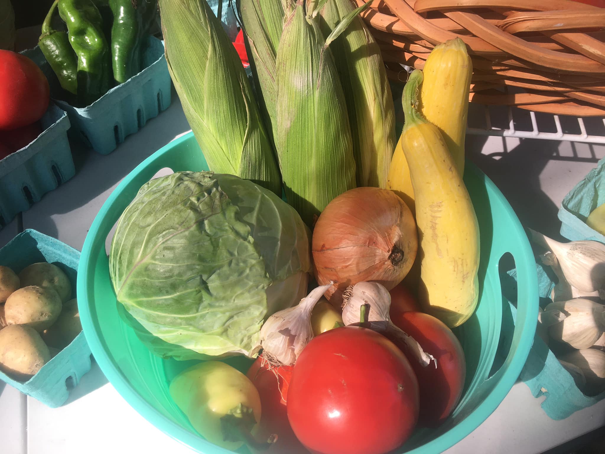 Fresh vegetables in a green basket, including corn, cabbage, yellow squash, tomatoes, garlic, onions, and peppers, arranged on a table at a farmers market.