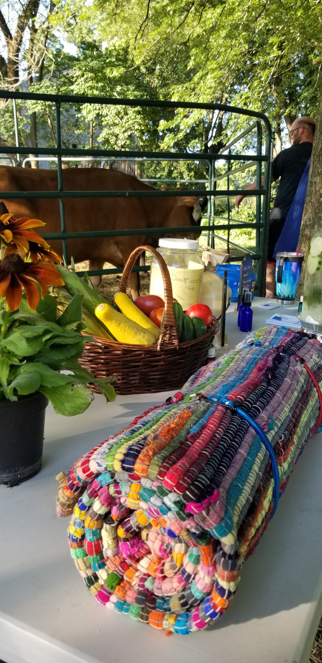 Colorful handmade rug in the foreground with a basket of fresh vegetables, a jar labeled "Donations," and a cow grazing in the background, set in a farm environment.